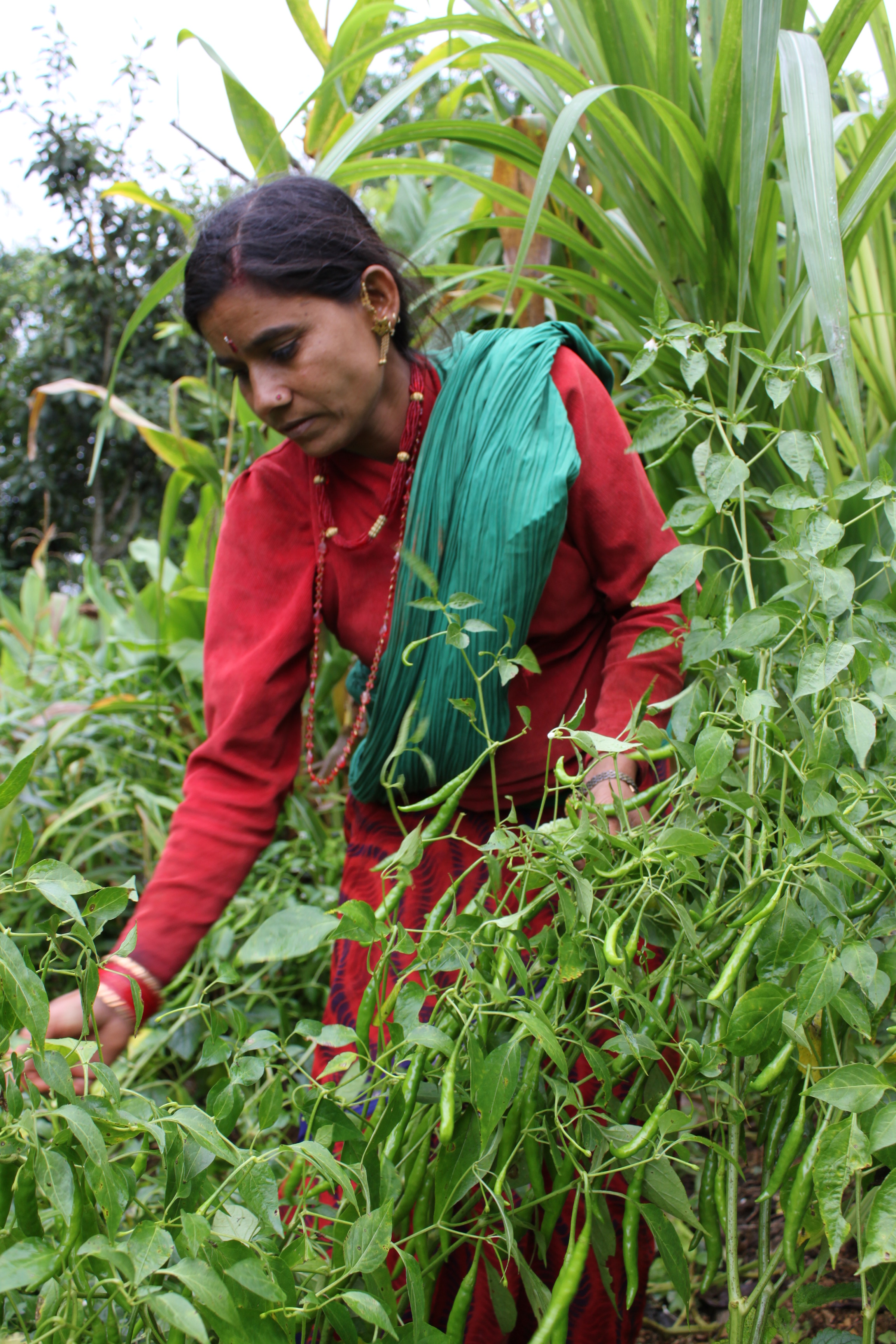A farmer assisted by the project shows her vegetable garden