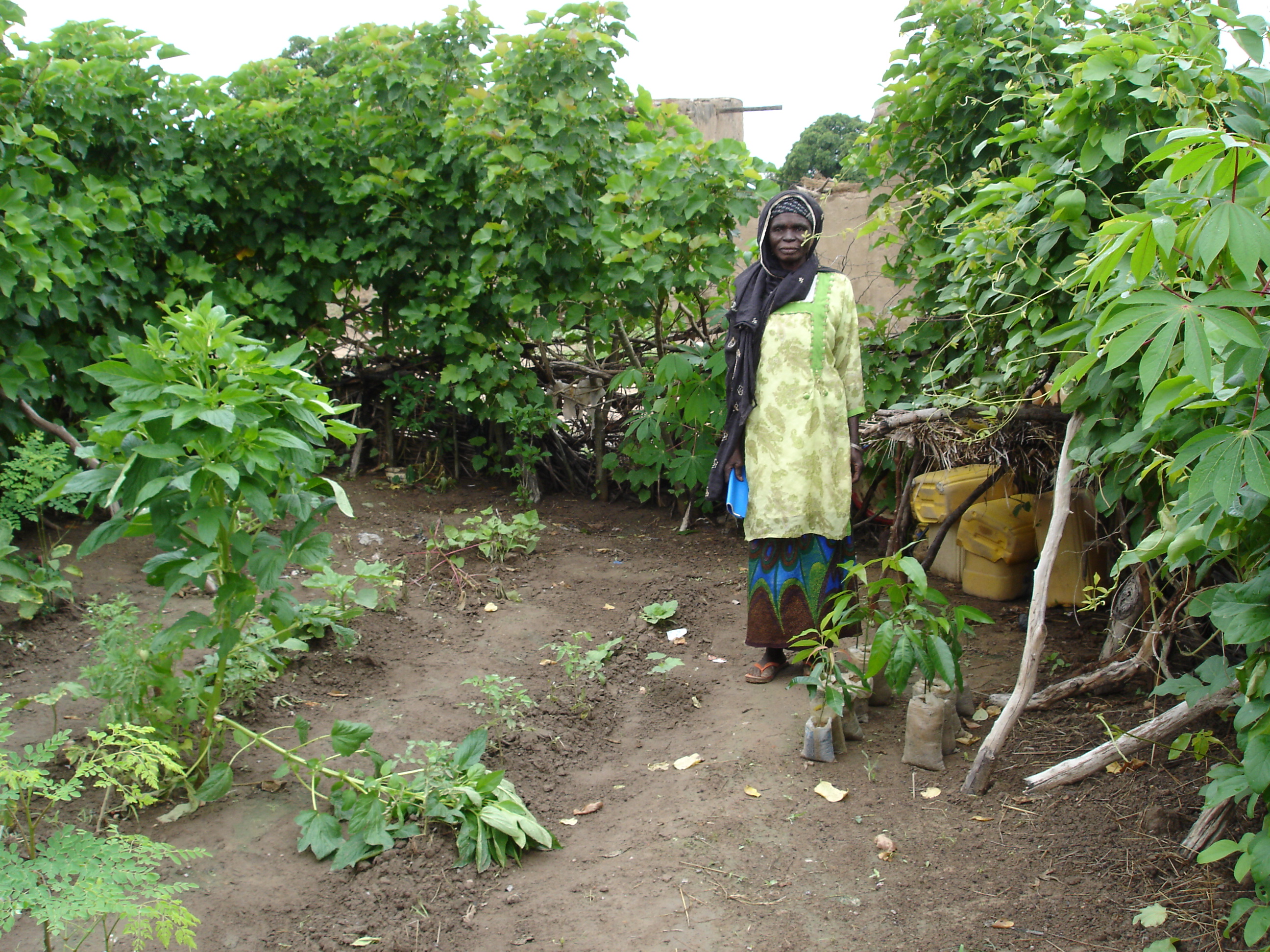 A woman in her garden in Fada N’Gourma
