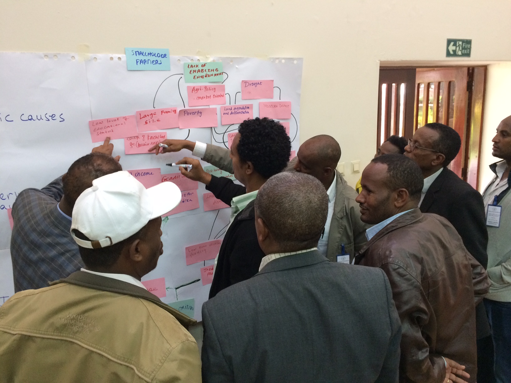Problem and solution tree exercises  at a capacity needs assessment  workshop in Ethiopia 