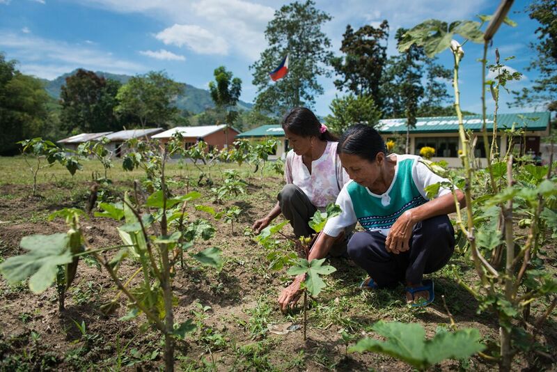Les femmes cultivent la terre à côté d'une école, où leur production sera utilisée pour la preparation des repas scolaires, Mindanao, Philippines