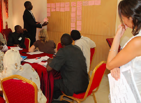 Participants are building a nutrition problem and solution tree, Niamey, Niger