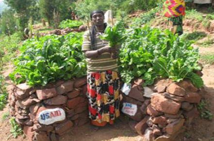 Bedriya, beneficiary of KHG in Meta Hawibilsuma Kebele, March 2014