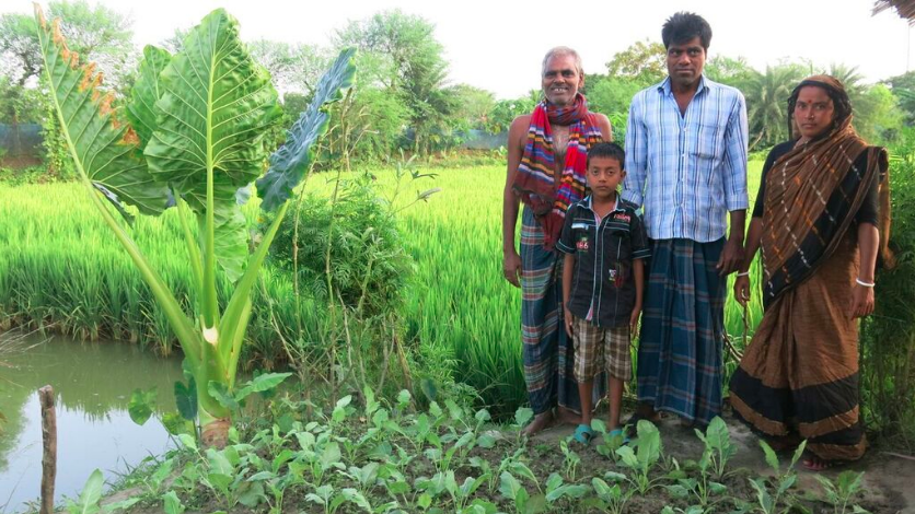 A family that was supported to develop an integrated farming, including vegetables, Aman rice and sweet water aquaculture, 2016