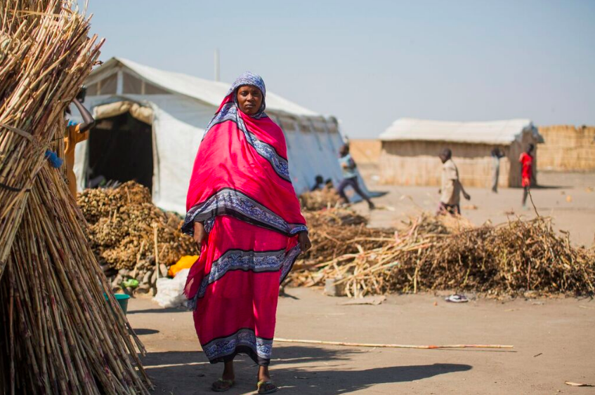 A pregnant woman at Alagaya Refugee Camp, Sudan, 2014