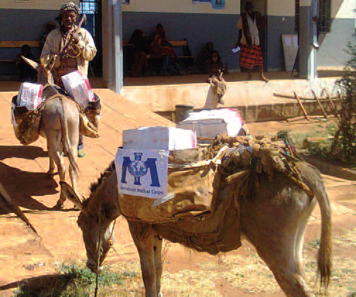 Donkeys transporting RUTF from Nega Bobas Health Center to Bidibora HP