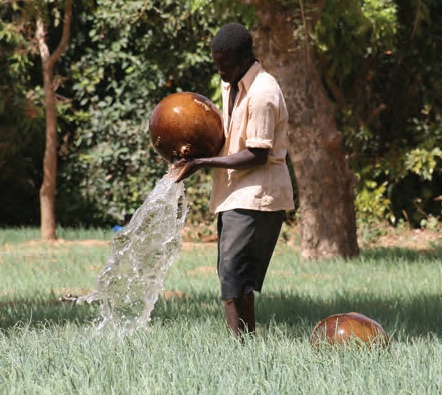 A man showering his plot of onions on the Dogon Plateau