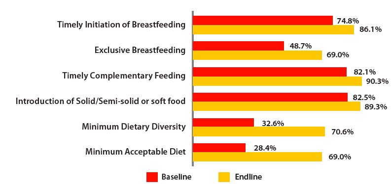 Baseline and endline survey results: Maternal health and nutrition