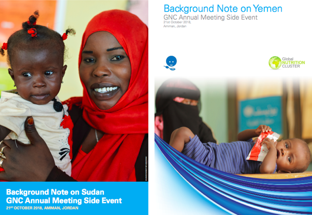 Front page of brochure called "Background Note on Sudan GNC Annual Meeting Side Event. Image shows women with infants.