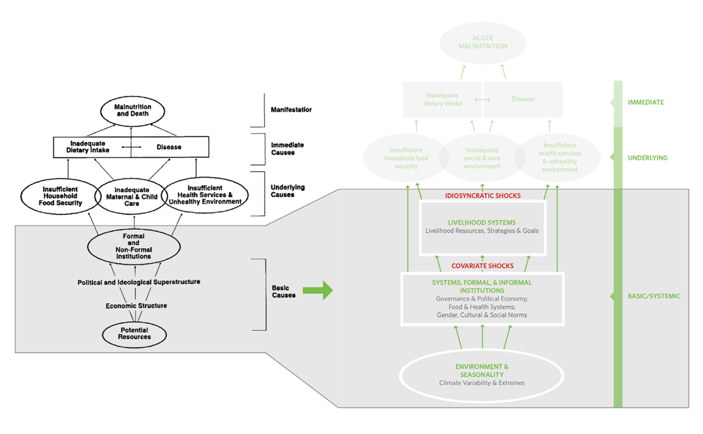 Original UNICEF framework (left) compared with the proposed updated framework (right) in which only the basic causes are changed.