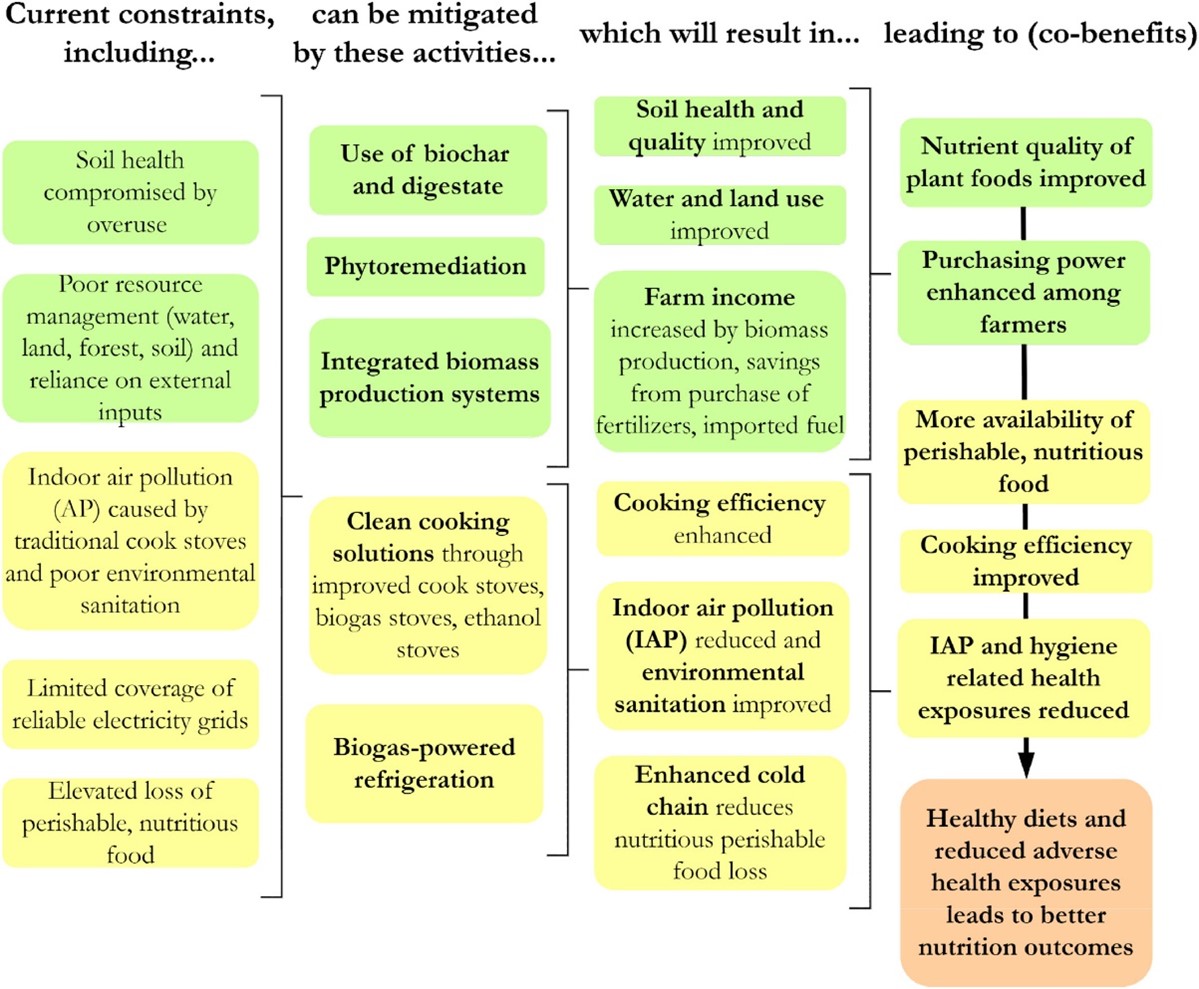A figure showing an overview of the linkages between bioenergy and nutrition