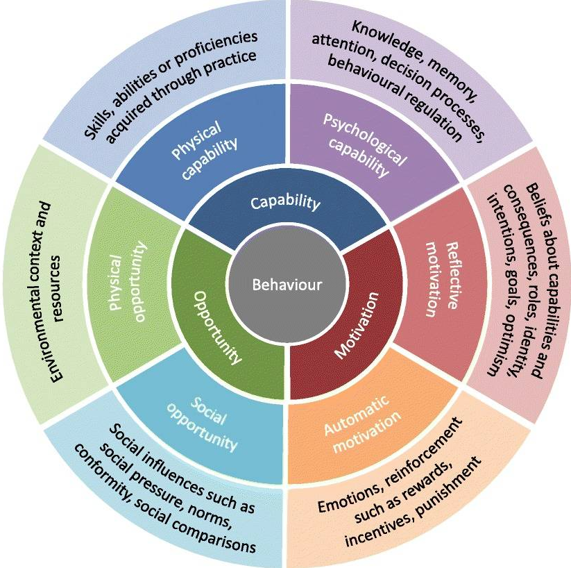 The behaviour change wheel (McDonagh et al., 2018) outlines the three main pathways of behaviour change: capability, opportunity, and motivation.