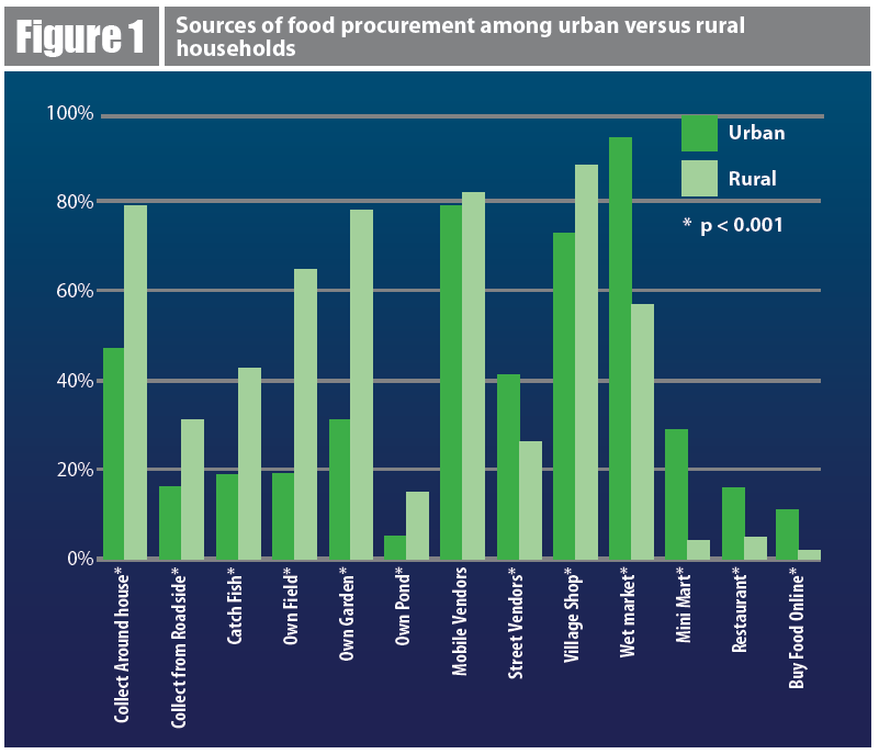 Bar chart showing sources of food procurement by household. Urban houses bought significantly more food from markets, vendors, and restaurants. Rural houses procured from field, gardens, and other local sources.