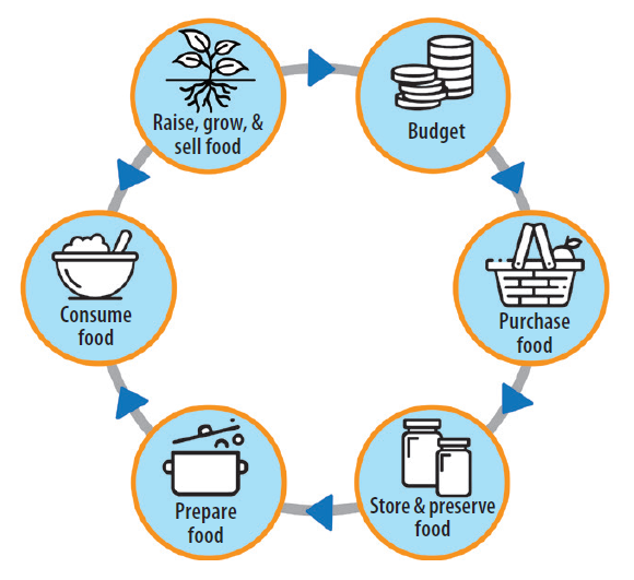 This drawing shows six household nutrition-sensitive behaviours: 1) purchasing food, 2) storage, 3) preparation, 4) consumption, 5) budget, then the cycle repeats from the purchasing stage. Growing and selling food, a sixth step, is bidirectional and directly affects consumption and budget behaviours independently.