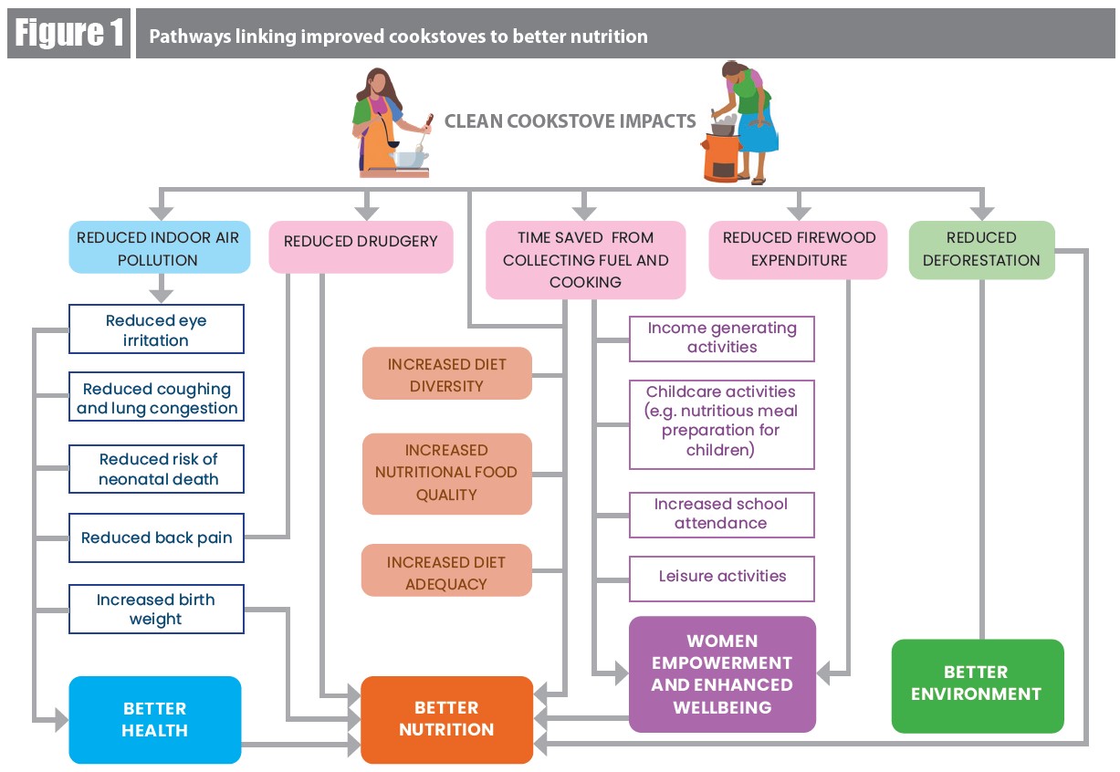 Pathways linking ICS to better nutrition