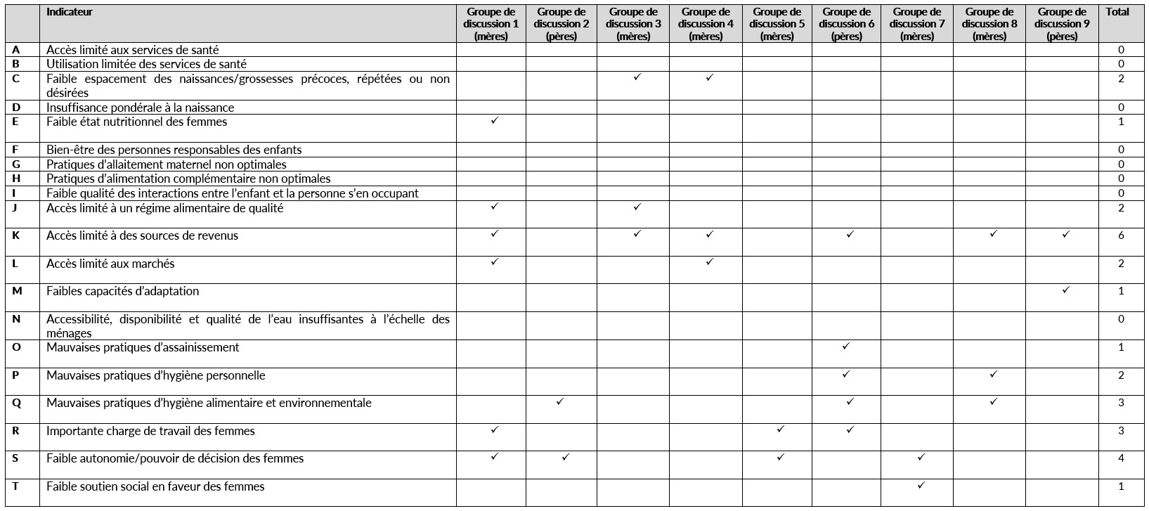 Exemple de cadre d’analyse 