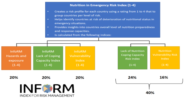 NiE risk-assessment model