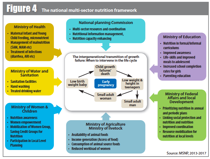 The national multi-sector nutrition framework