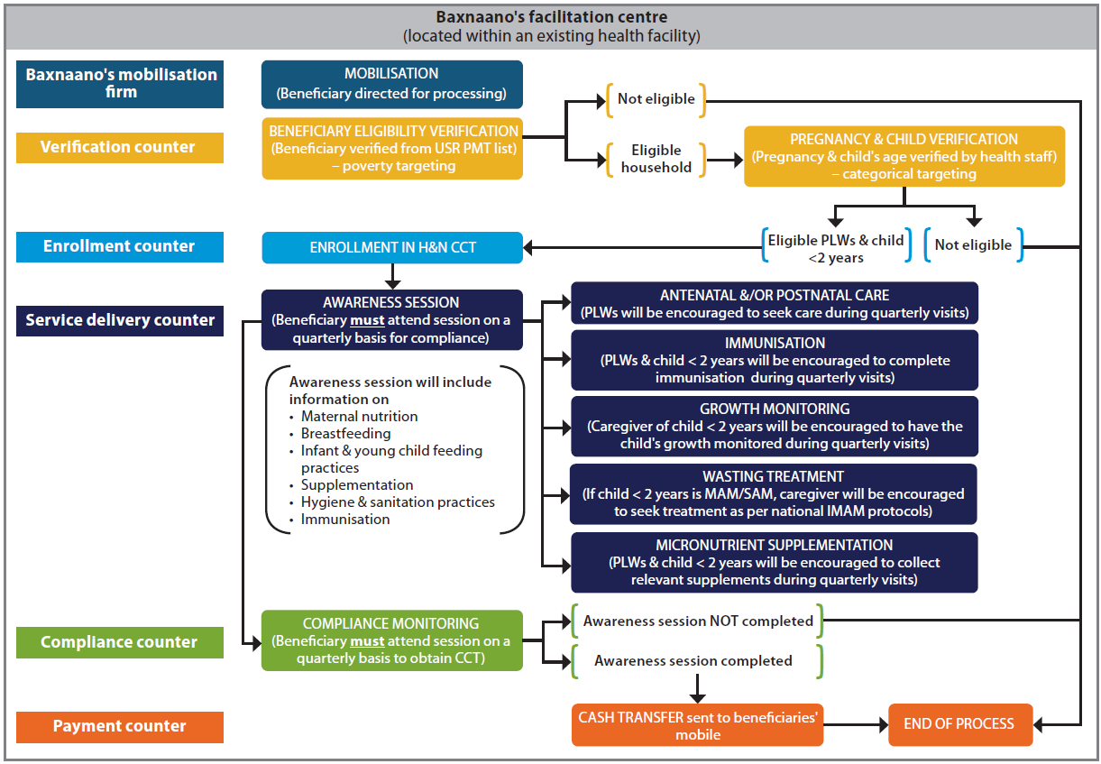 Process flow for Baxnaano’s H&N CCT
