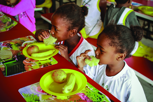 The Brazilian school feeding programme follows nutritional guidelines in order to meet the minimum needs of students