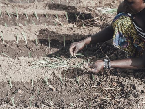Woman planting crops in Burkina Faso