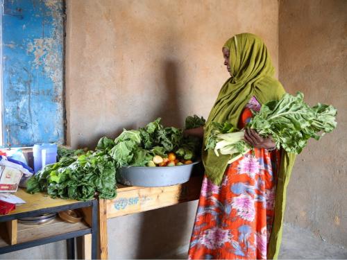 A woman home growing vegetables in Somalia