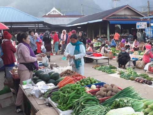 woman shopping in local fruit and vegetable market 