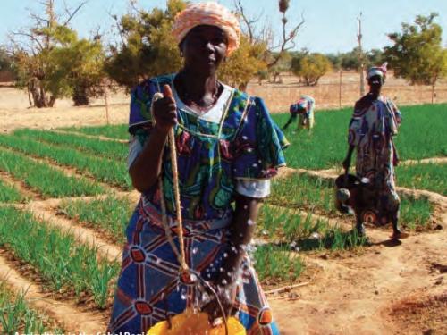 FB agriculture in the Sahel region Burkina Faso