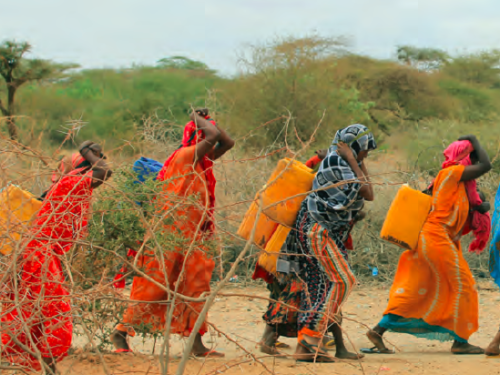 FB women from Kabas internally displaced peoples camp return from fetching water from the river Jubba 