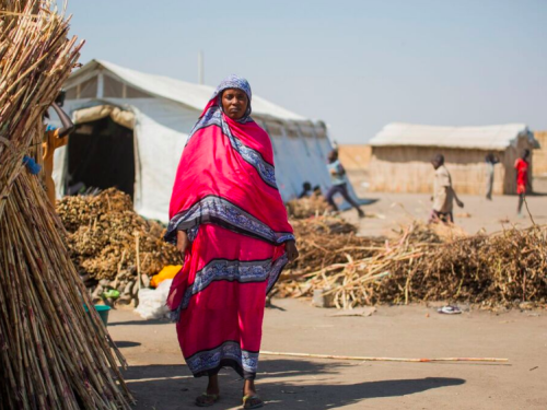 FB a pregnant woman at Alagaya rufugee camp Sudan 2014
