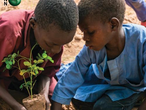 two boys planting a tree