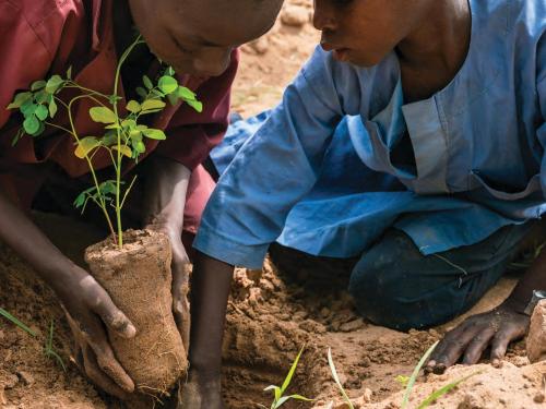 FEX front cover photo of two boys planting a tree