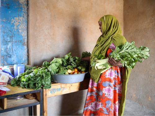 A woman home growing vegetables in Somalia