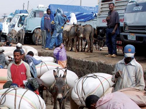 Front cover image shows men with their donkeys carrying loads of goods on their backs