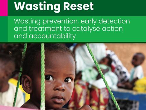 Front cover of report titled, "‘Wasting Reset’: wasting prevention, early detection and treatment to catalyse action and accountability- Solutions from the prevention of wasting working group." Image shows a young child sitting in a hanging bucket.