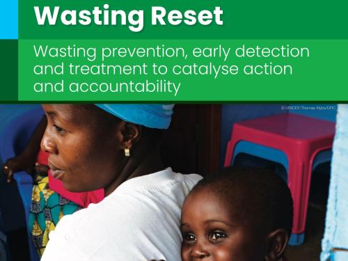 Front cover of report titled, "‘Wasting Reset’: wasting prevention, early detection and treatment to catalyse action and accountability- Solutions from the advocacy working group." Image shows woman with an infant strapped to her back.
