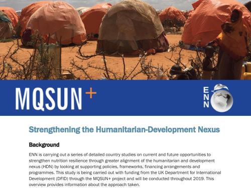 Front cover of report titled, "Strengthening the Humanitarian-Development Nexus."