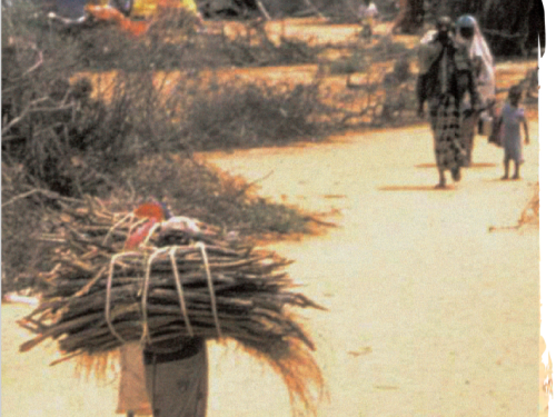 Front cover image shows a camp with people walking around, some carrying pile of sticks on their back