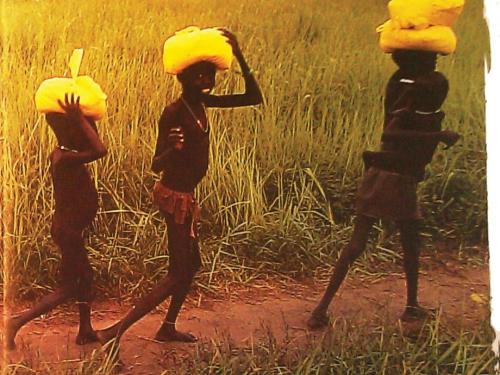 Front cover image shows three young children carrying something on their head