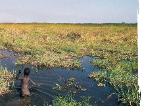 Front cover image shows a young child wading through water wasteland