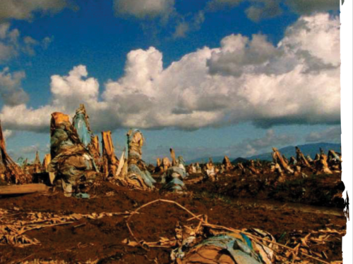Front cover image of wasteland