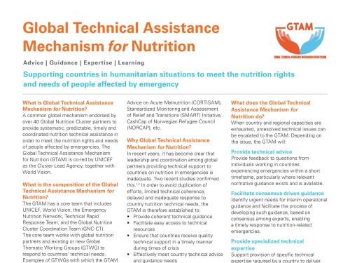 Front cover of report titled, "Global Technical Assistance Mechanism for Nutrition." 