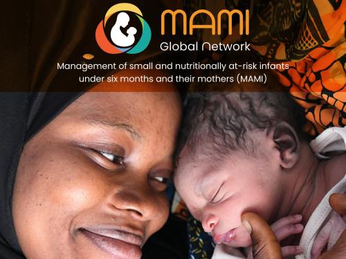 Front cover of "MAMI Global Network Strategy 2021–2025" Report. The image shows a mother lying next to her new born baby.