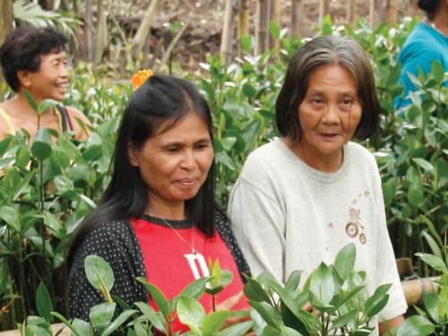 Front cover of case study titled, "Multi-sector programming at the sub-national level: A case study of Gingoog City and Diffun and Saguday Municipalities, Philippines." Image shows two women walking in a crop field among plants.