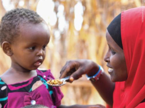 Front cover of case study titled, "Multi-sector programmes at the sub-national level: A case study of the Seqota Declaration in Naedir Adet and Ebinat woredas in Ethiopia." Image shows a woman feeding a young child.