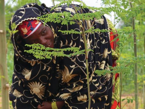 Front cover of case study titled, "Multi-sector programmes at the sub-national level: A case study of the communes de convergence approach in Maradi, Niger." Image shows woman working in the crop--field.