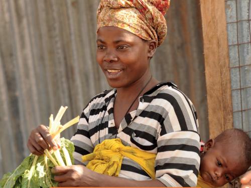 Front cover of case study titled, "Exploring multi-sector programming at the sub-national level in Senegal, Nepal and Kenya." Image shows a mother cooking with a baby on her back.