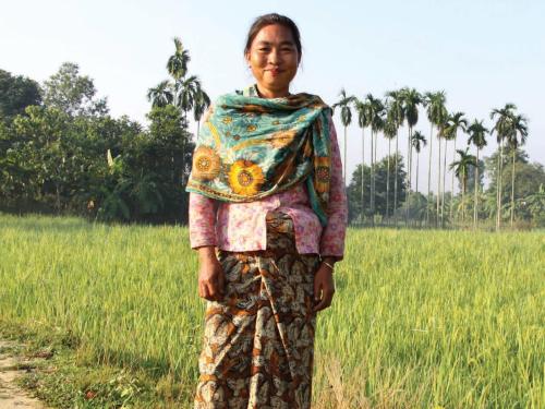 Front cover of case study titled, "Synthesis:  Multi-sector programmes  at the sub-national level: Insights from Ethiopia, Niger and Bangladesh. Image shows a woman standing in a crop--field.
