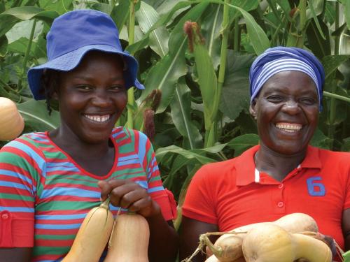 Front cover of case study titled, "Multi-sector programming at the sub-national level: A case study of Chipinge and Chiredzi Districts, Zimbabwe." Image shows two women picking squash.