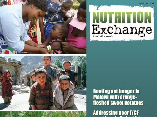 Front cover of issue 3 of Nutrition Exchange, English version. 