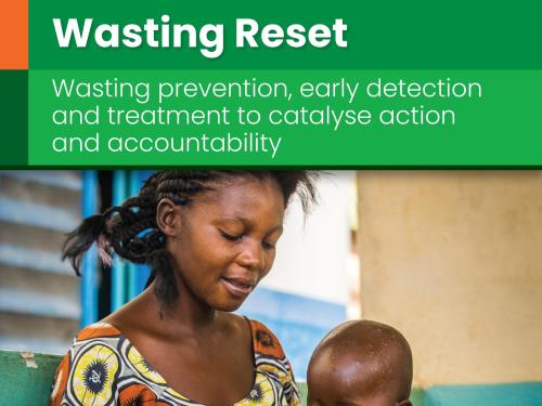 Front cover of report titled, "‘Wasting Reset’: wasting prevention, early detection and treatment to catalyse action and accountability- Solutions from the products for treating wasting working group." Image shows a woman holding a baby who is holding and sucking on a flyer.
